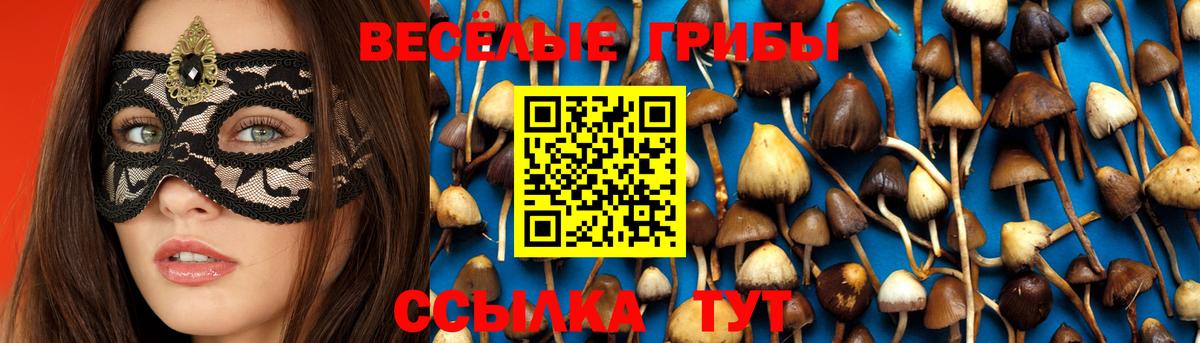Псилоцибиновые грибы Psilocybine cubensis Кимры